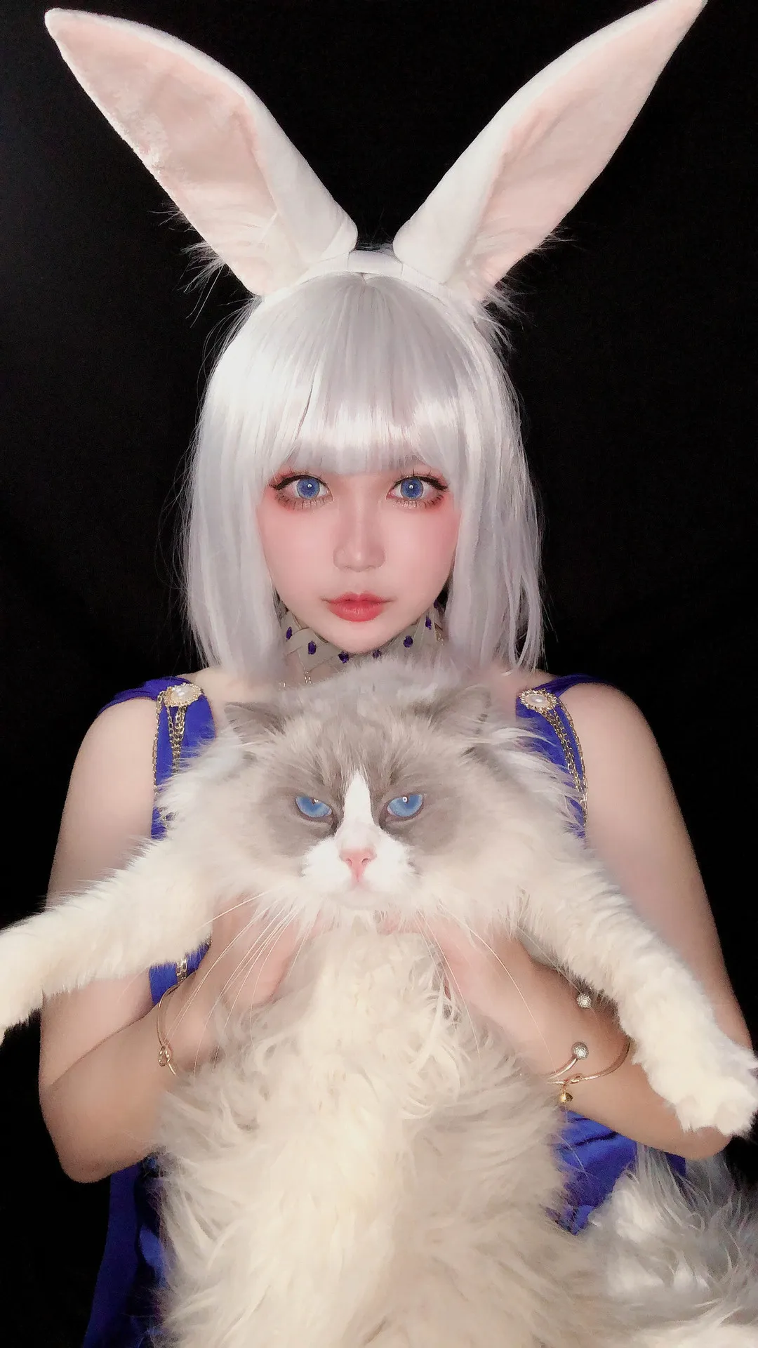 椒妮佐仁的白发兔耳造型与猫合影写真