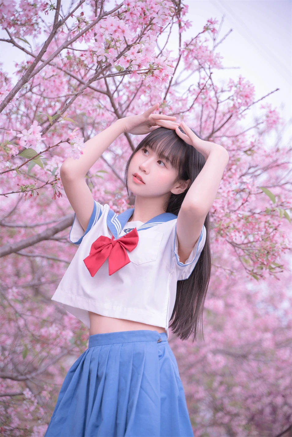 萌芽儿o0在樱花树下穿蓝白水手服的照片