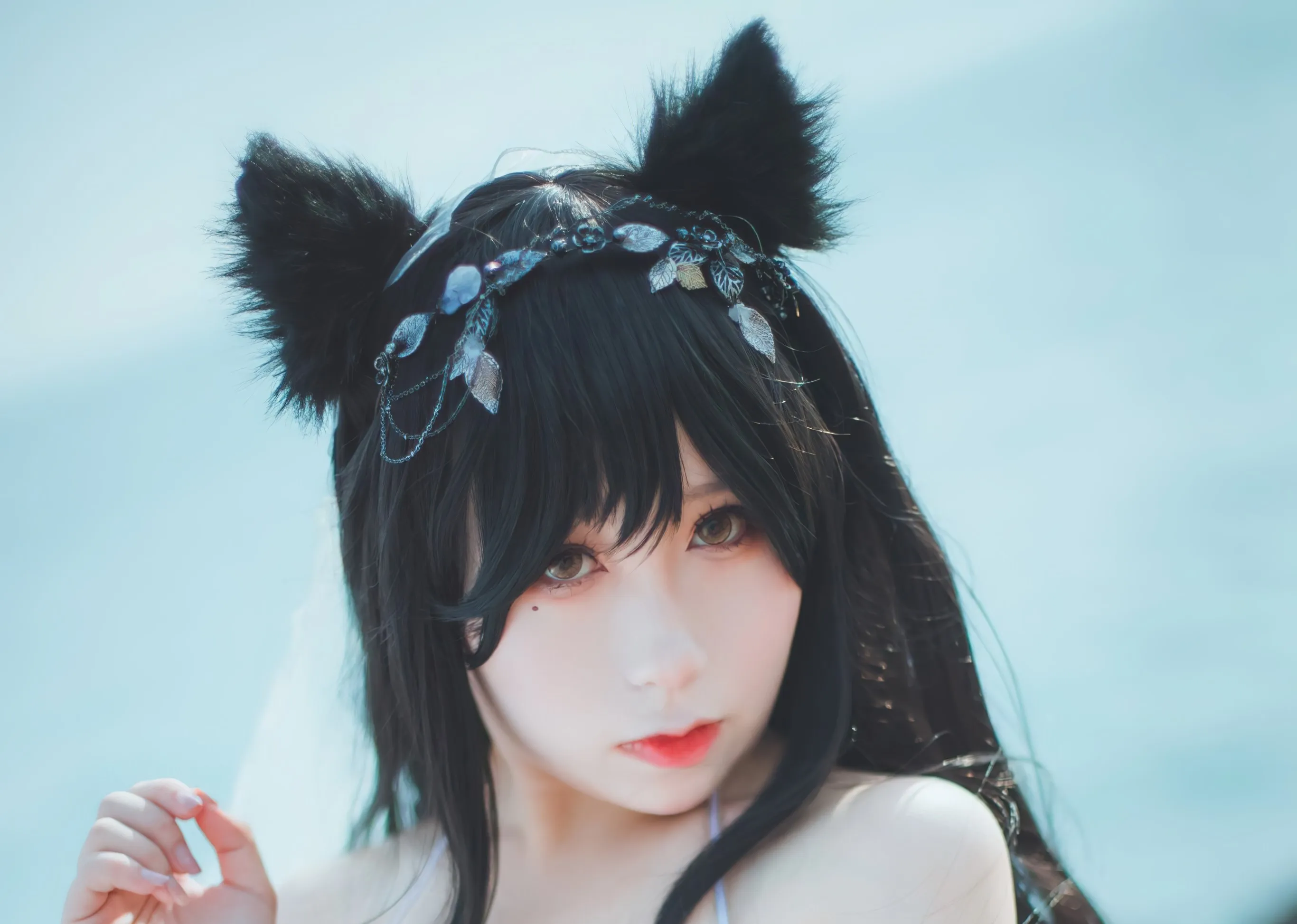 柚子先生 摄影资料与作品目录整理