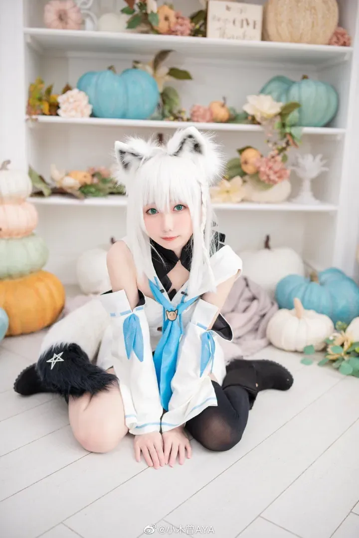 XiaoYing小樱白色短发猫耳蓝白服坐在南瓜布景前的cosplay写真